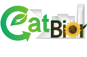 The 6th International Congress on Catalysis for Biorefineries (catbior2026)