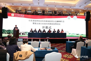 微信图片_20190531161611.png