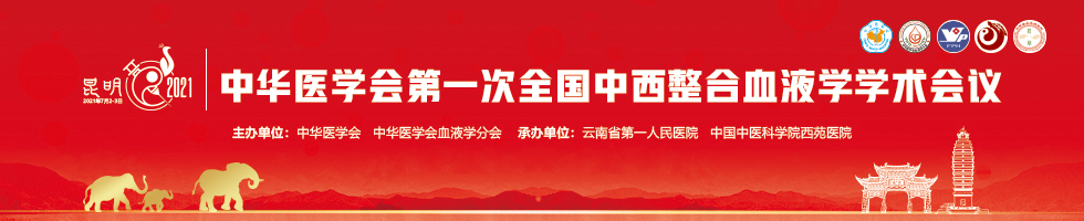 中华医学会第一次全国中西整合血液学学术会议