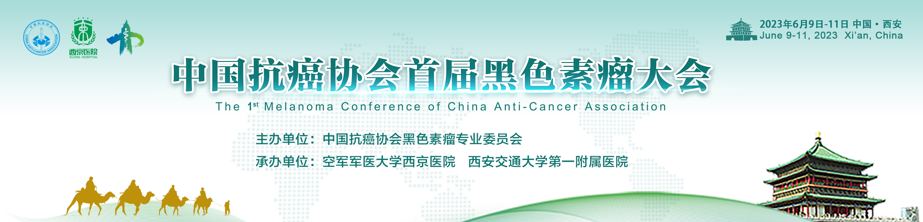 中国抗癌协会首届黑色素瘤大会