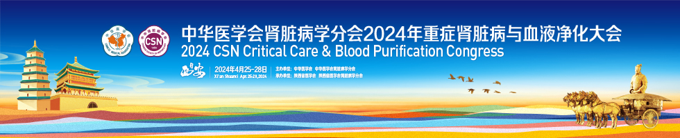中华医学会肾脏病学分会2024年重症肾脏病与血液净化大会