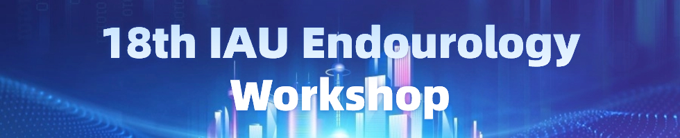 18th IAU Endourology Workshop