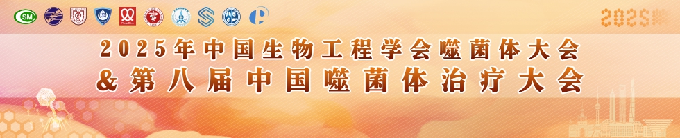 banner图片